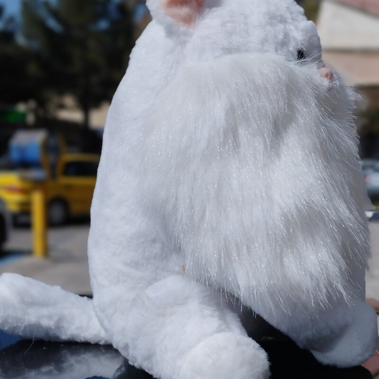 عروسک گربه اشرافی