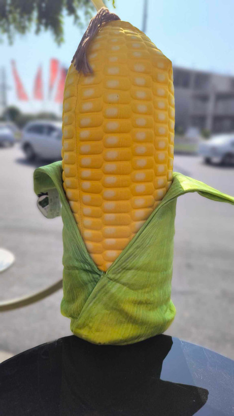 عروسک ذرت بالشتی