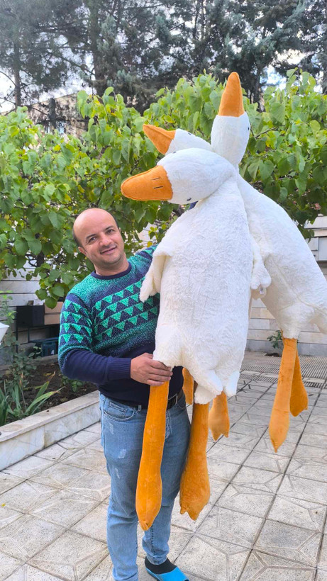 عروسک غاز بالشتی