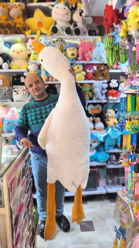 عروسک غاز بالشتی