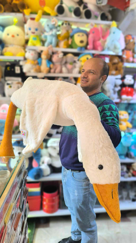عروسک غاز بالشتی