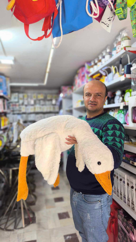 عروسک غاز بالشتی