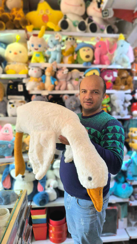 عروسک غاز بالشتی