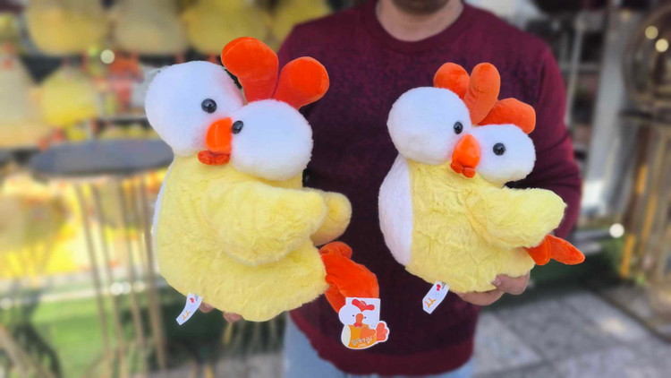 عروسک مرغ چشم گنده