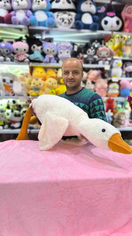 عروسک غاز بالشتی پتو دار