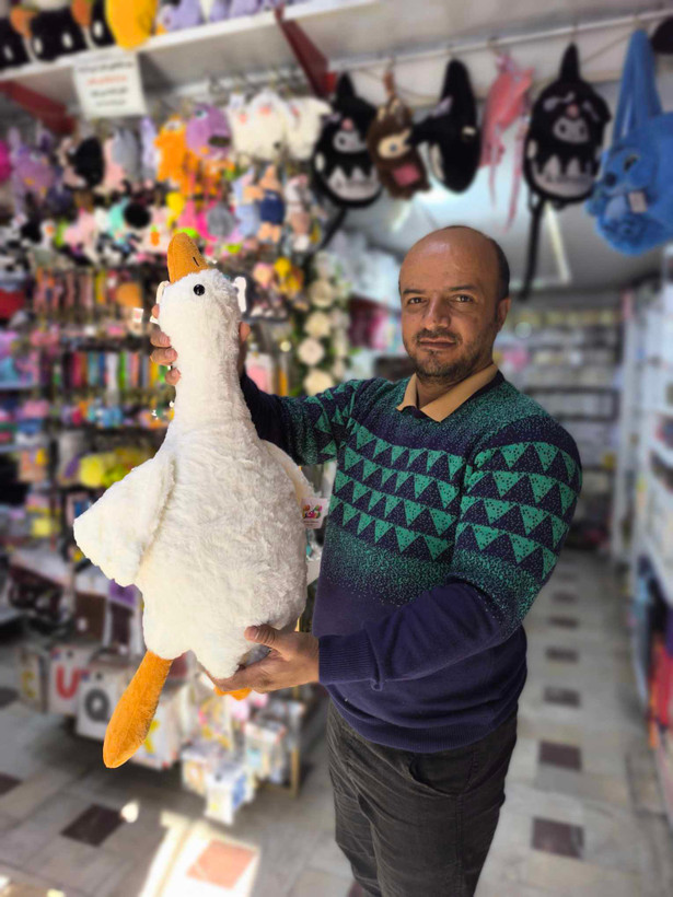 عروسک غاز بالشتی