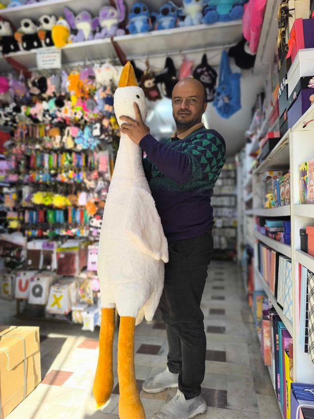 عروسک غاز بالشتی