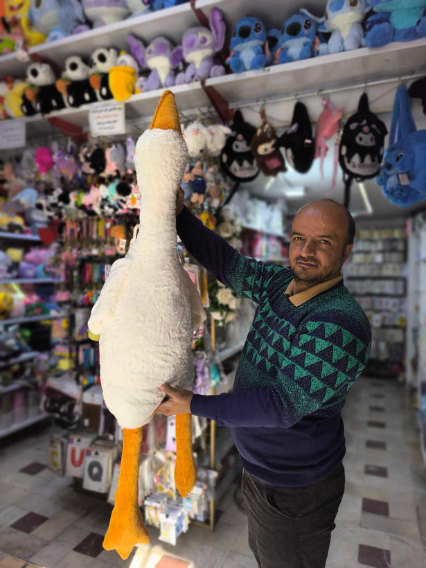 عروسک غاز بالشتی