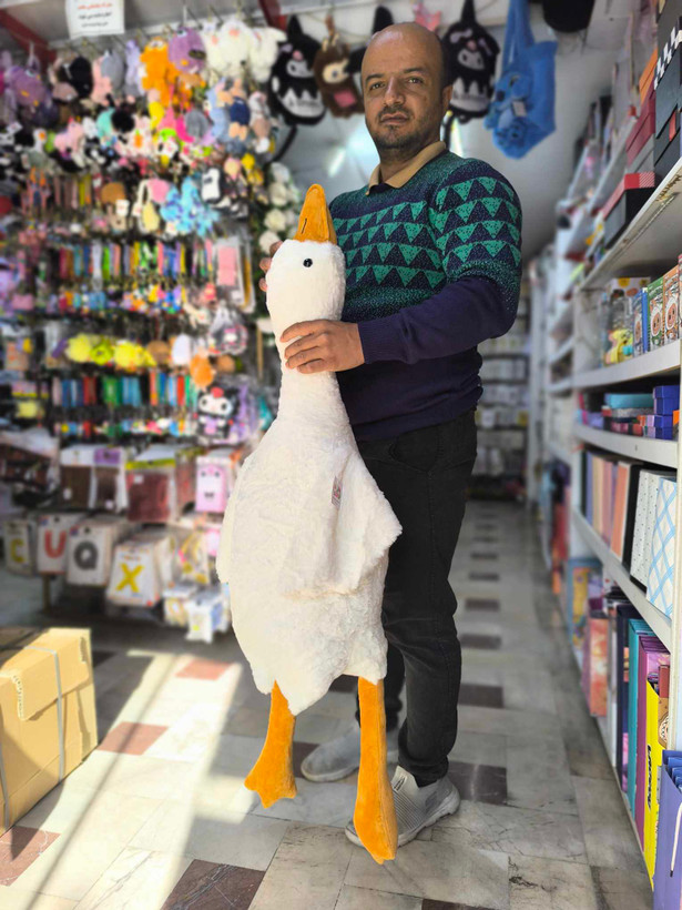 عروسک غاز بالشتی