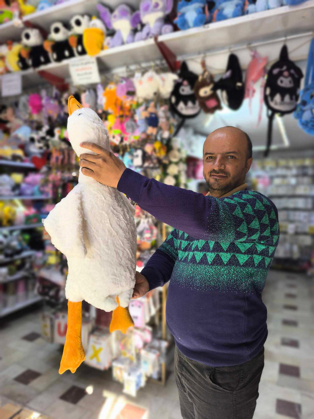 عروسک غاز بالشتی