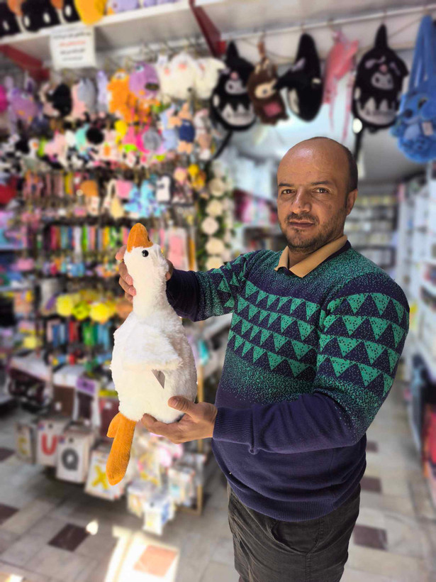 عروسک غاز بالشتی