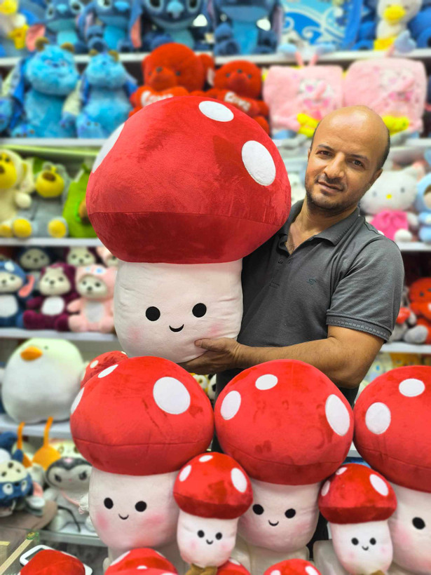 عروسک قارچ 🍄 فانتزی