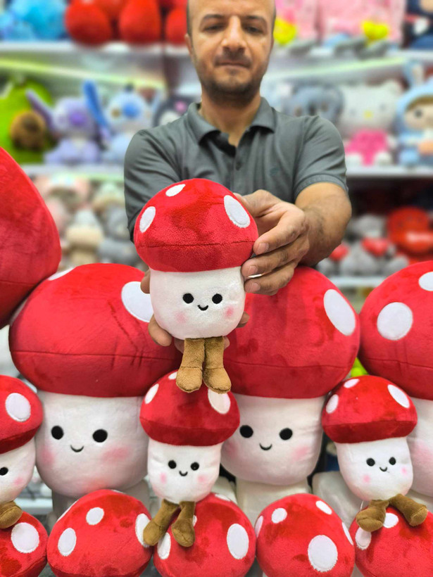 عروسک قارچ 🍄 فانتزی